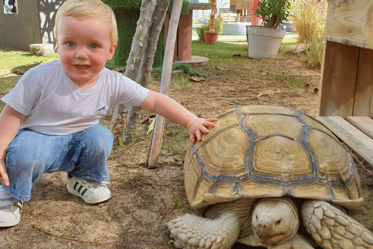 nursery in Dubai