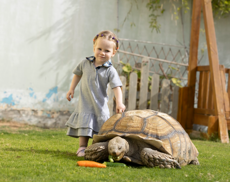 kindergarten in Dubai